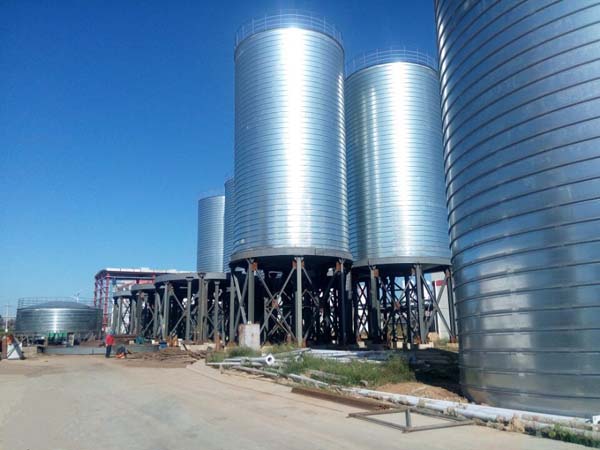 Steel Silo Project For 880 Ton Pyrophyllite Powder Storage